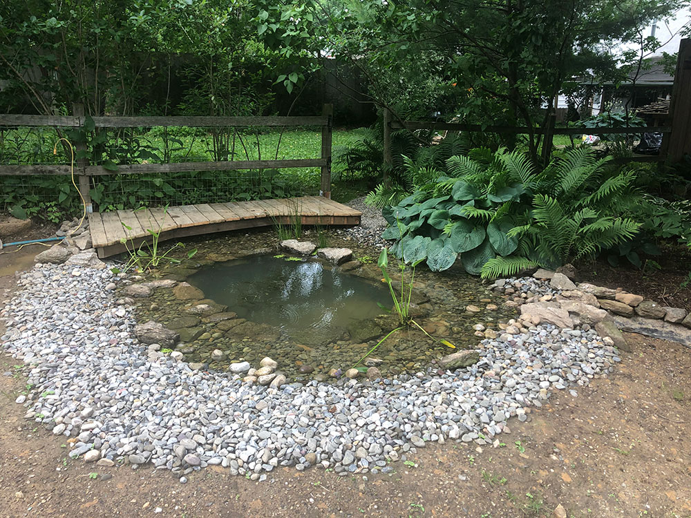 Wildlife Ponds and Habitat Ponds - Good Host Plants